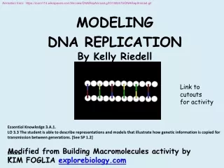 MODELING  DNA REPLICATION By Kelly Riedell