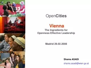 Open Cities Vienna The Ingredients for  Openness Effective Leadership Madrid 29.02.2008