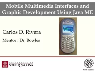 Mobile Multimedia Interfaces and Graphic Development Using Java ME