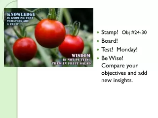 Stamp!   Obj #24-30 Board! Test!  Monday! Be Wise!  Compare your objectives and add new insights.