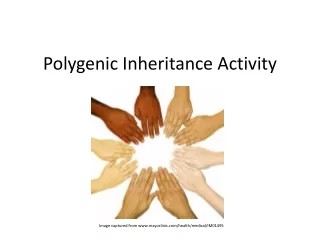 Polygenic Inheritance Activity