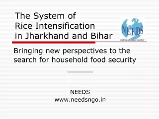 The System of  Rice Intensification in Jharkhand and Bihar