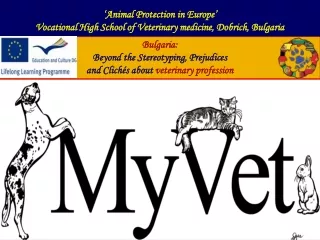 Bulgaria:  Beyond the Stereotyping, Prejudices  and Clichés about  veterinary profession