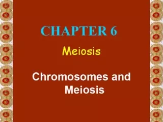 CHROMOSOMES