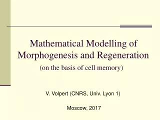 Mathematical Modelling of    Morphogenesis and Regeneration (on the basis of cell memory)