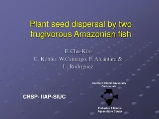 Plant seed dispersal by two frugivorous Amazonian fish
