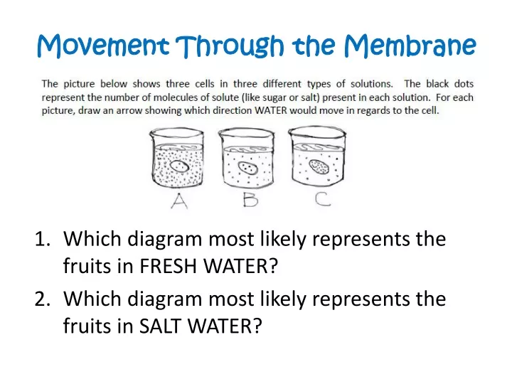movement through the membrane