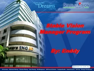 Stable Vision Manager Program By: Enddy