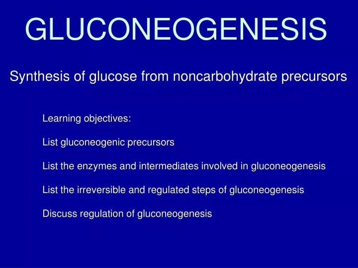 gluconeogenesis