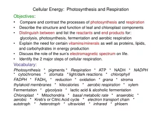 Cellular Energy:  Photosynthesis and Respiration