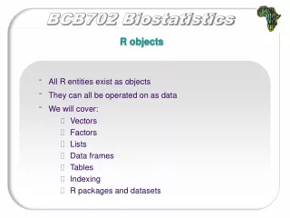 R objects