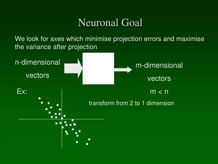 neuronal goal