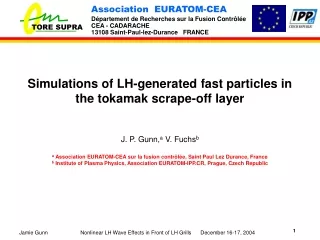 Simulations of LH-generated fast particles in the tokamak scrape-off layer