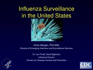 Influenza Surveillance  in the United States