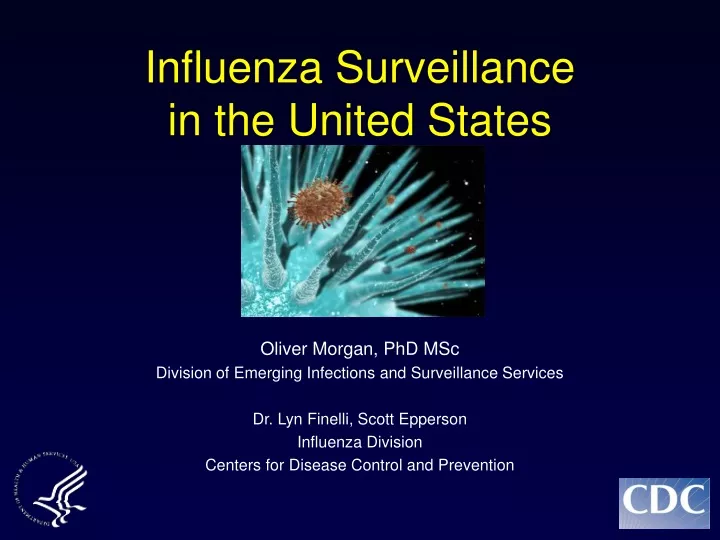 influenza surveillance in the united states