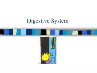 Digestive System