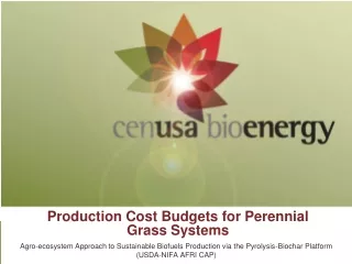 Production Cost Budgets for Perennial Grass Systems