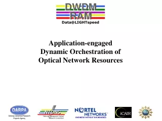 Application-engaged Dynamic Orchestration of  Optical Network Resources