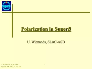 Polarization in Super B