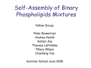 Self-Assembly of Binary Phospholipids Mixtures