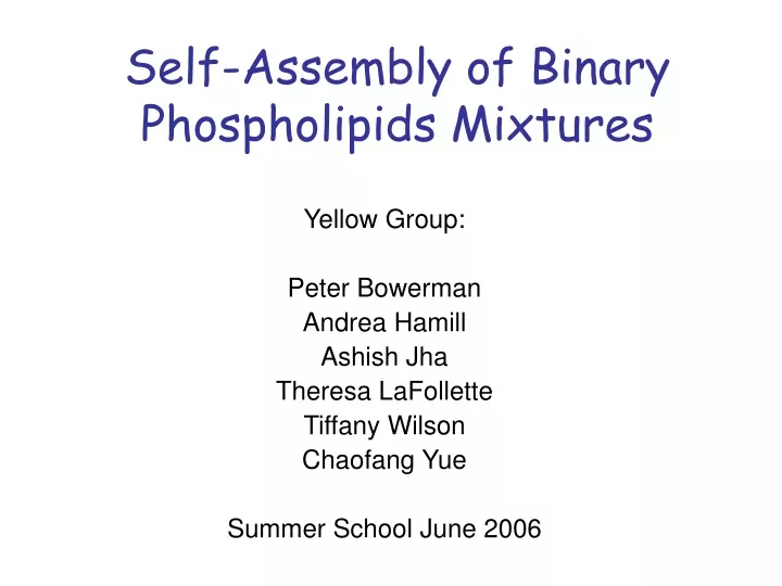 self assembly of binary phospholipids mixtures