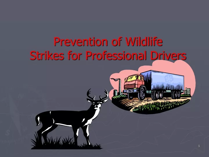 prevention of wildlife strikes for professional drivers