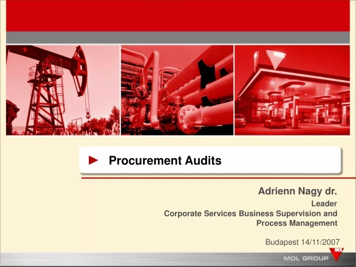 procurement audits