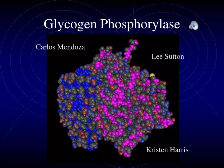 glycogen phosphorylase
