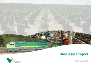 Biodiesel Project