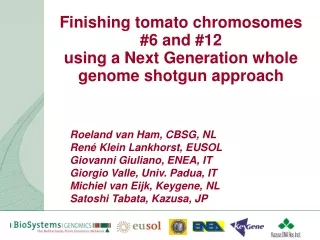 Finishing tomato chromosomes #6 and #12  using a Next Generation whole genome shotgun approach
