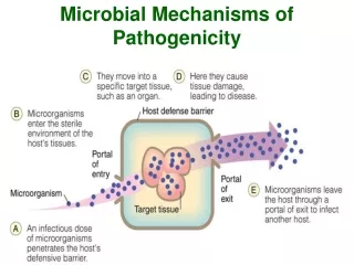 Microbial Mechanisms of Pathogenicity