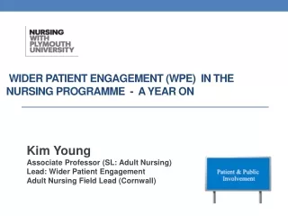 WIDER PATIENT ENGAGEMENT (WPE)  IN THE NURSING PROGRAMME  -  A YEAR ON