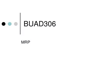 BUAD306