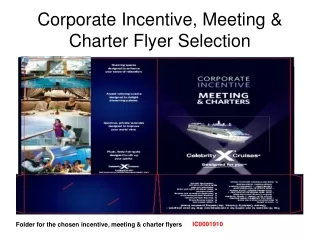 Corporate Incentive, Meeting &amp; Charter Flyer Selection