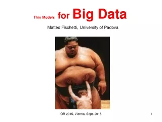 Thin Models    for  Big Data