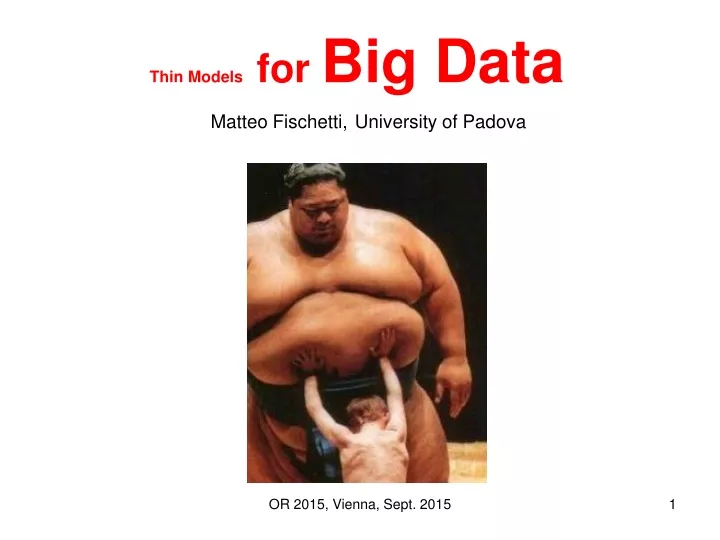 thin models for big data