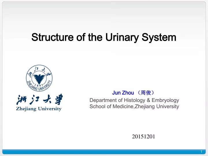 structure of the urinary system