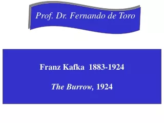 Prof. Dr. Fernando de Toro