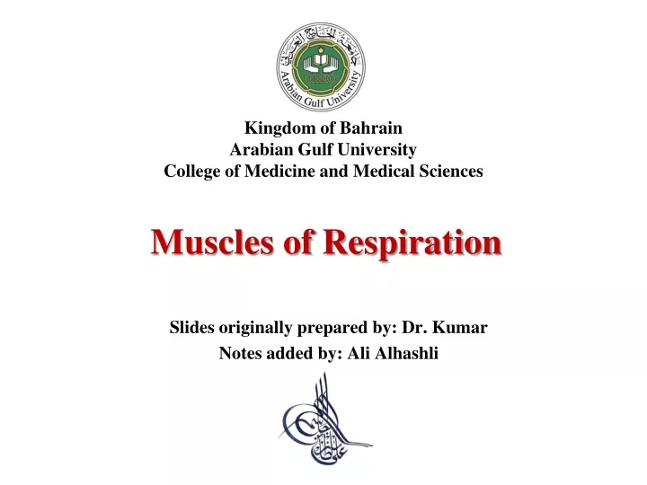muscles of respiration