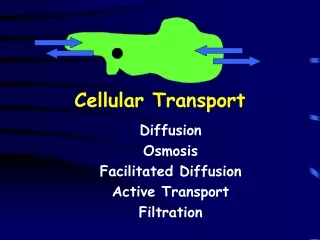 Cellular Transport