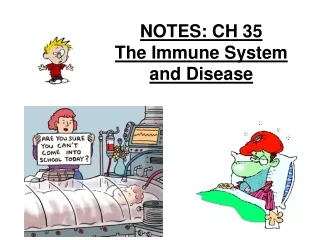 NOTES: CH 35  The Immune System and Disease