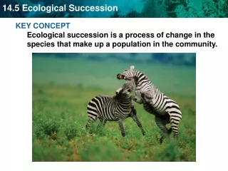 Succession occurs following a disturbance in an ecosystem and can affect population size.