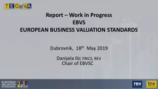 Report – Work in Progress EBVS EUROPEAN BUSINESS VALUATION STANDARDS