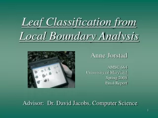 Leaf Classification from  Local Boundary Analysis