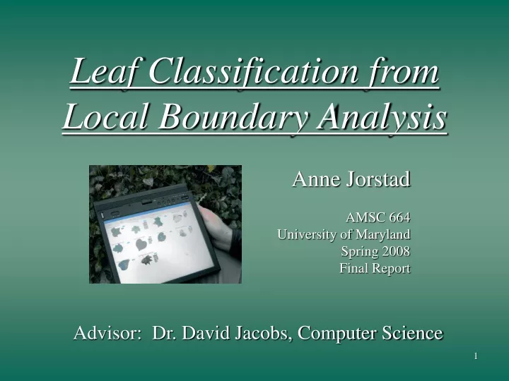 leaf classification from local boundary analysis