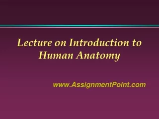 Lecture on Introduction to Human Anatomy