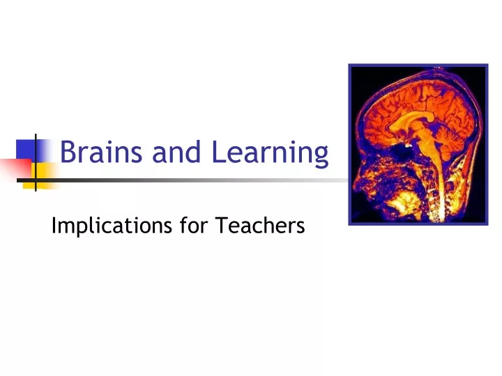 brains and learning