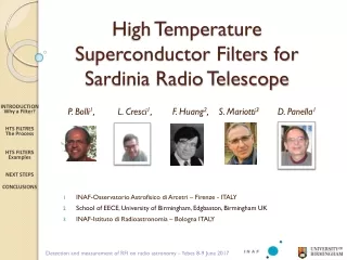 High Temperature Superconductor Filters for Sardinia Radio Telescope