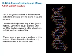 III. DNA, Protein Synthesis, and Mitosis A. DNA and RNA Structure