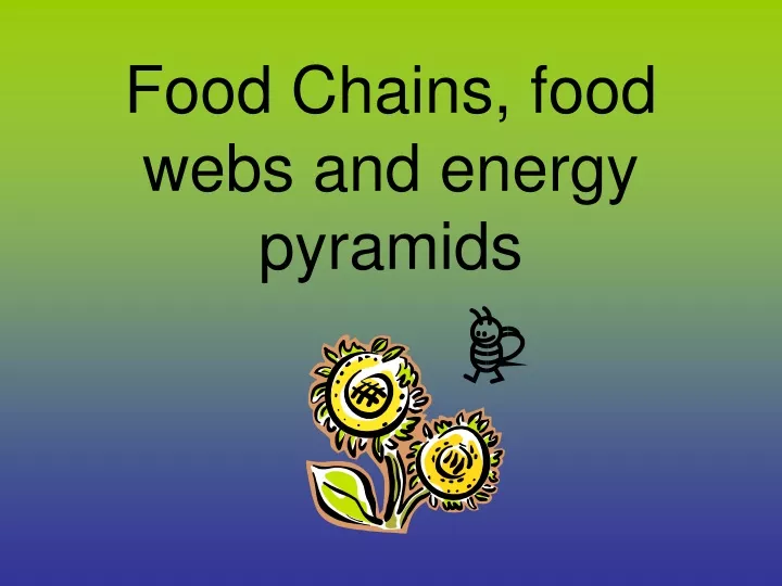 food chains food webs and energy pyramids